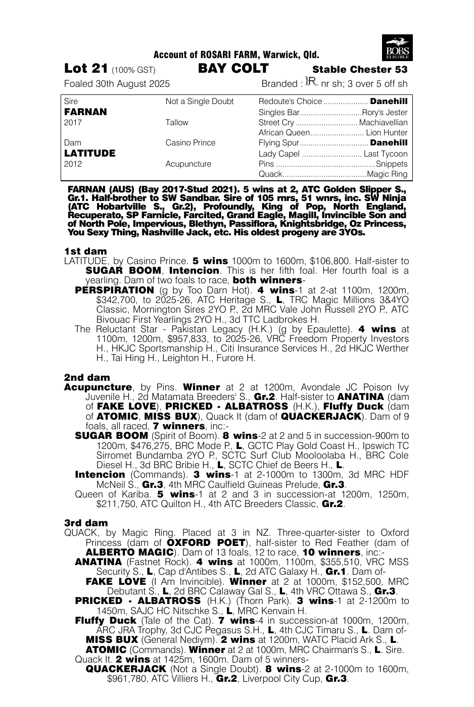 Pedigree - Lot 21