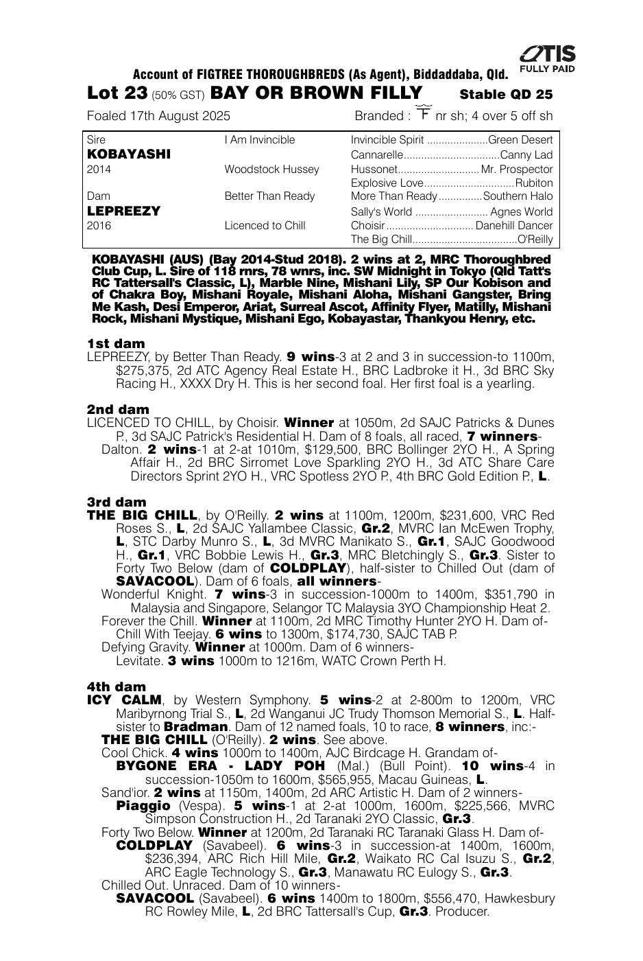 Pedigree - Lot 23