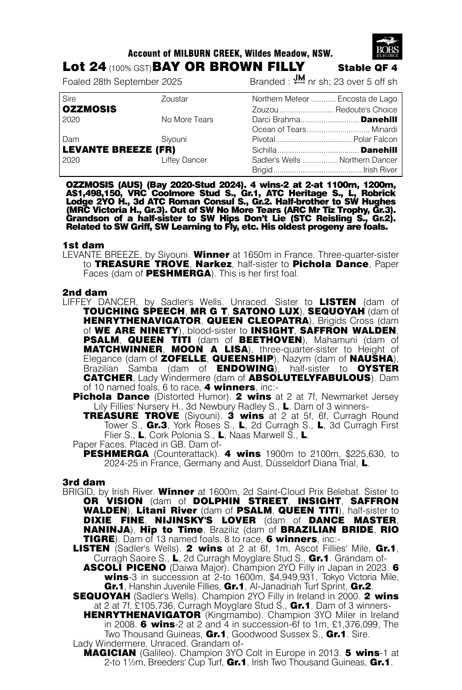 Pedigree - Lot 24