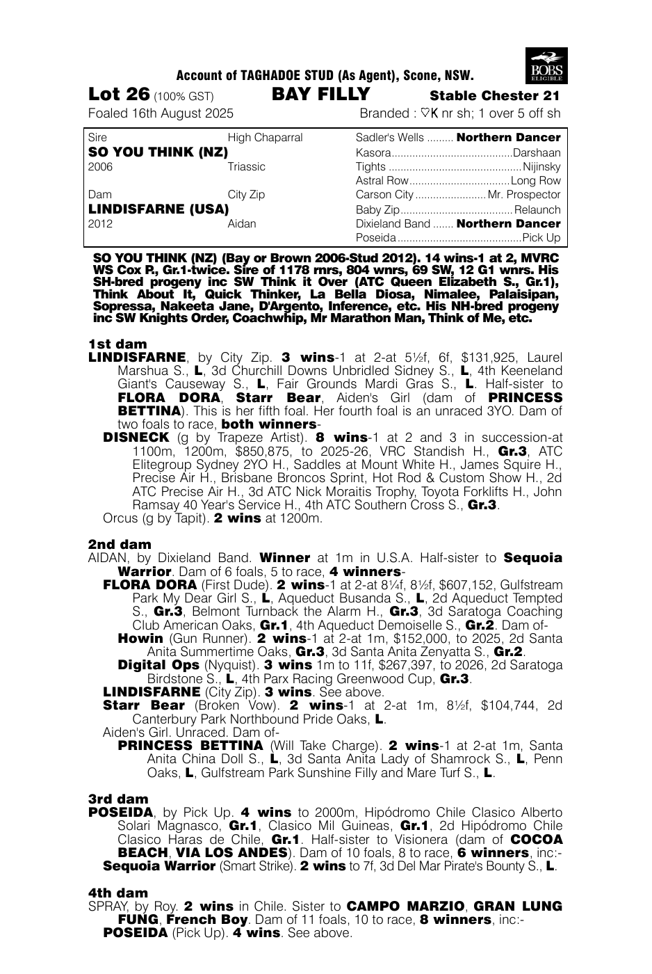 Pedigree - Lot 26