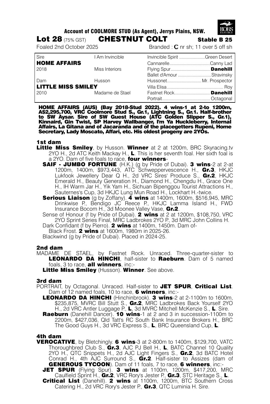 Pedigree - Lot 28