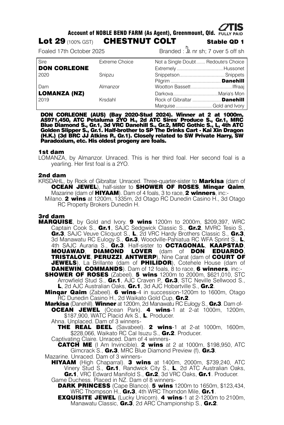Pedigree - Lot 29