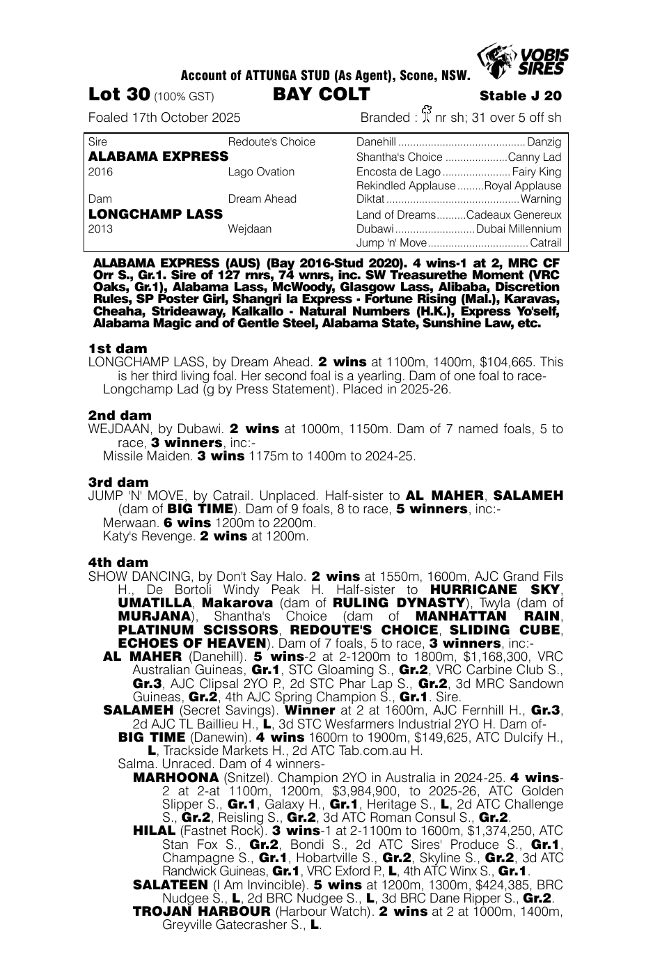 Pedigree - Lot 30