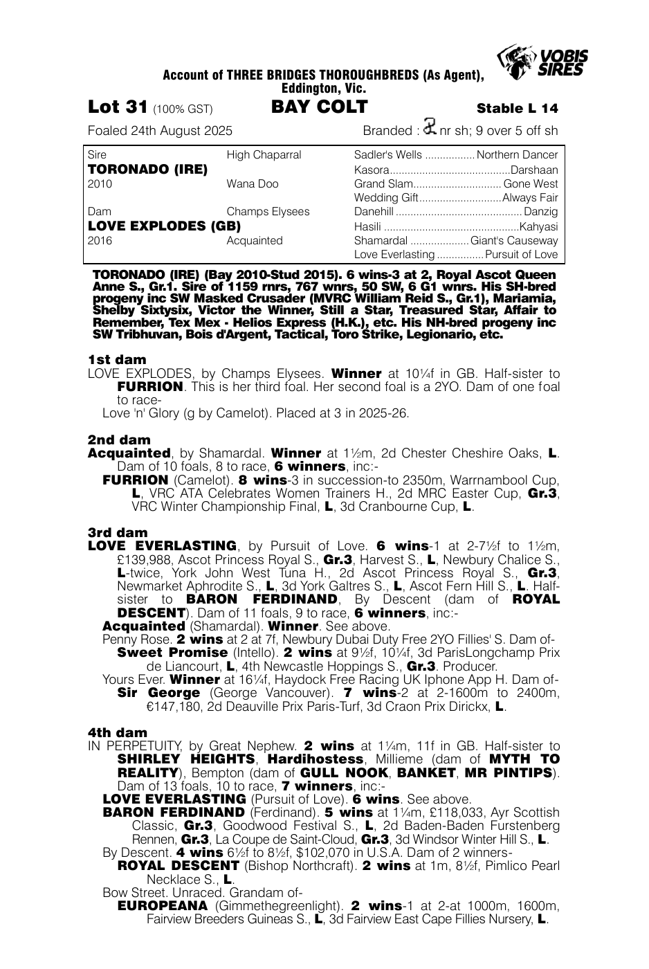 Pedigree - Lot 31