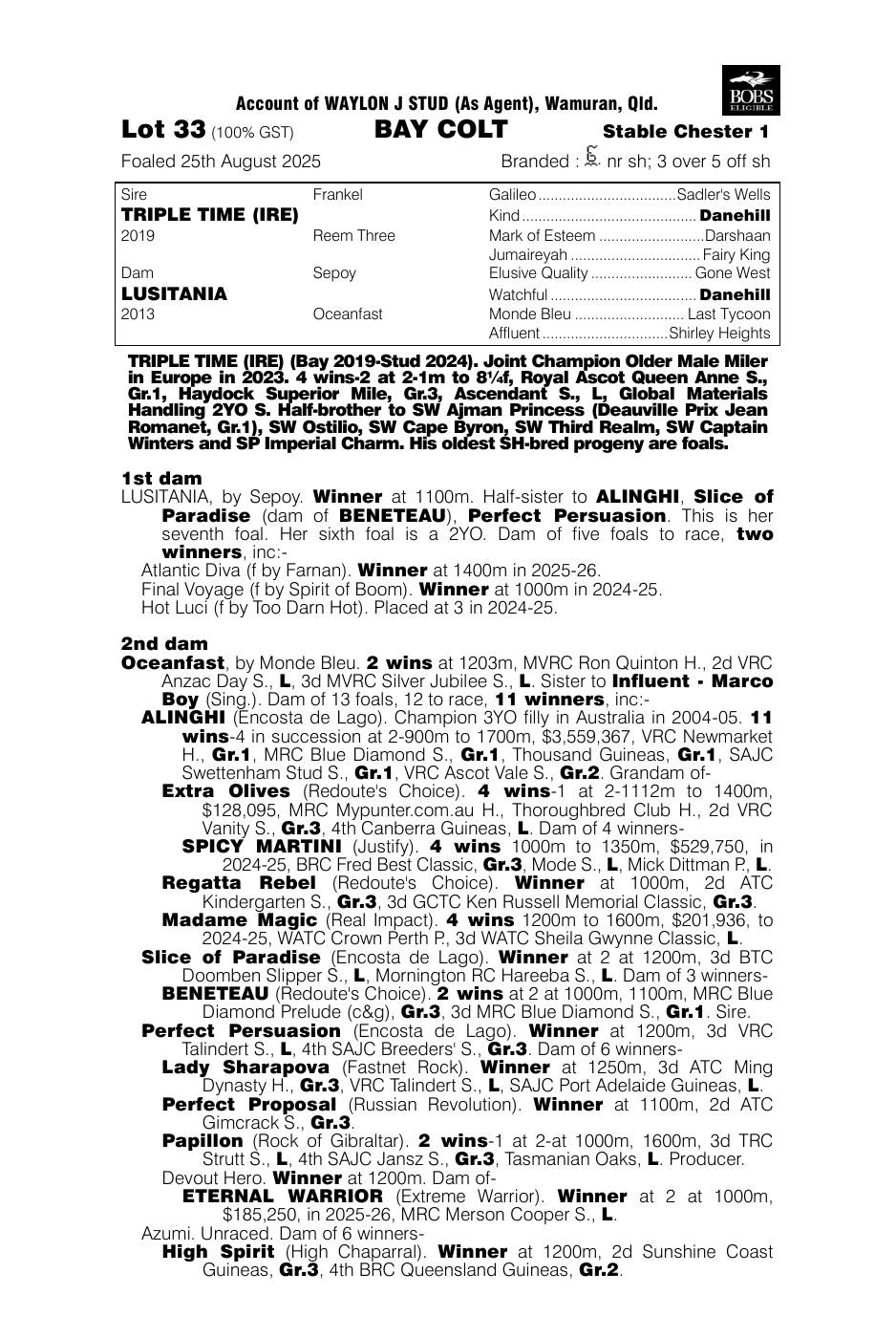 Pedigree - Lot 33