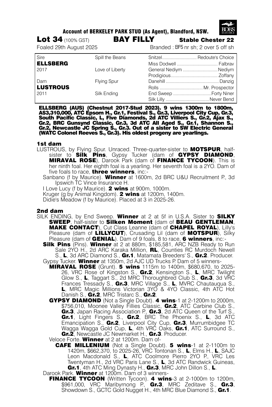 Pedigree - Lot 34