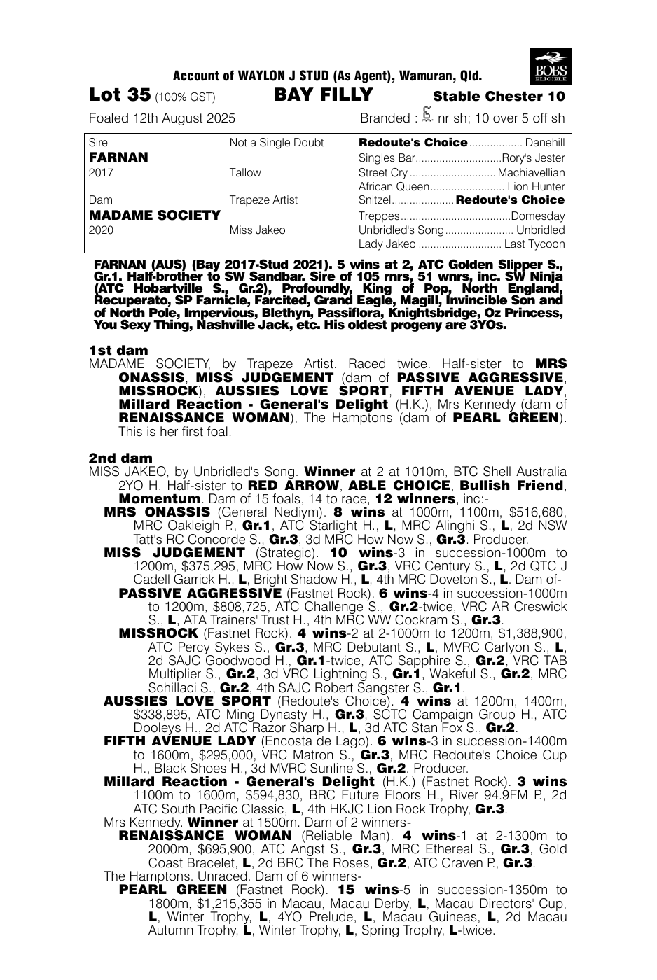 Pedigree - Lot 35