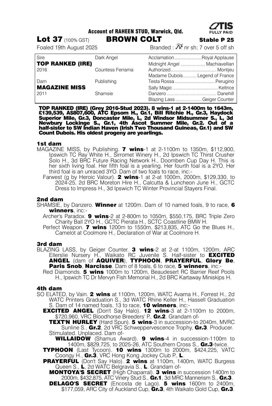 Pedigree - Lot 37