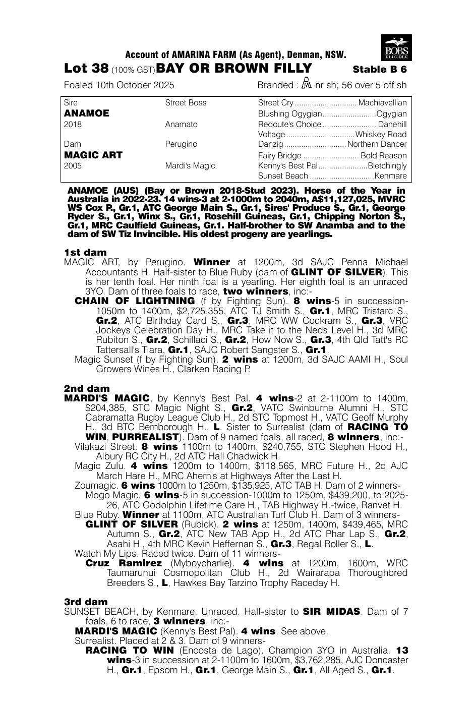 Pedigree - Lot 38