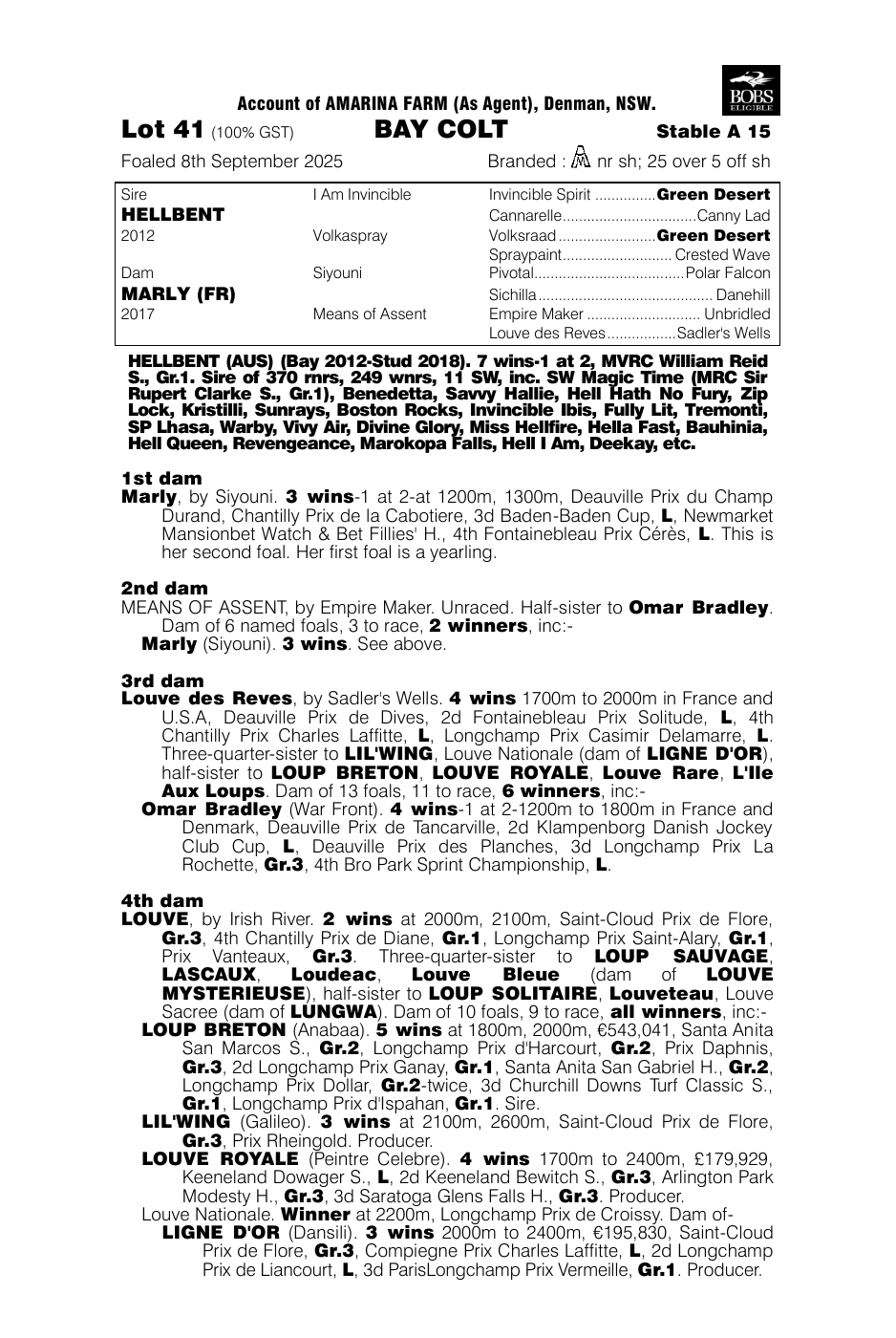 Pedigree - Lot 41