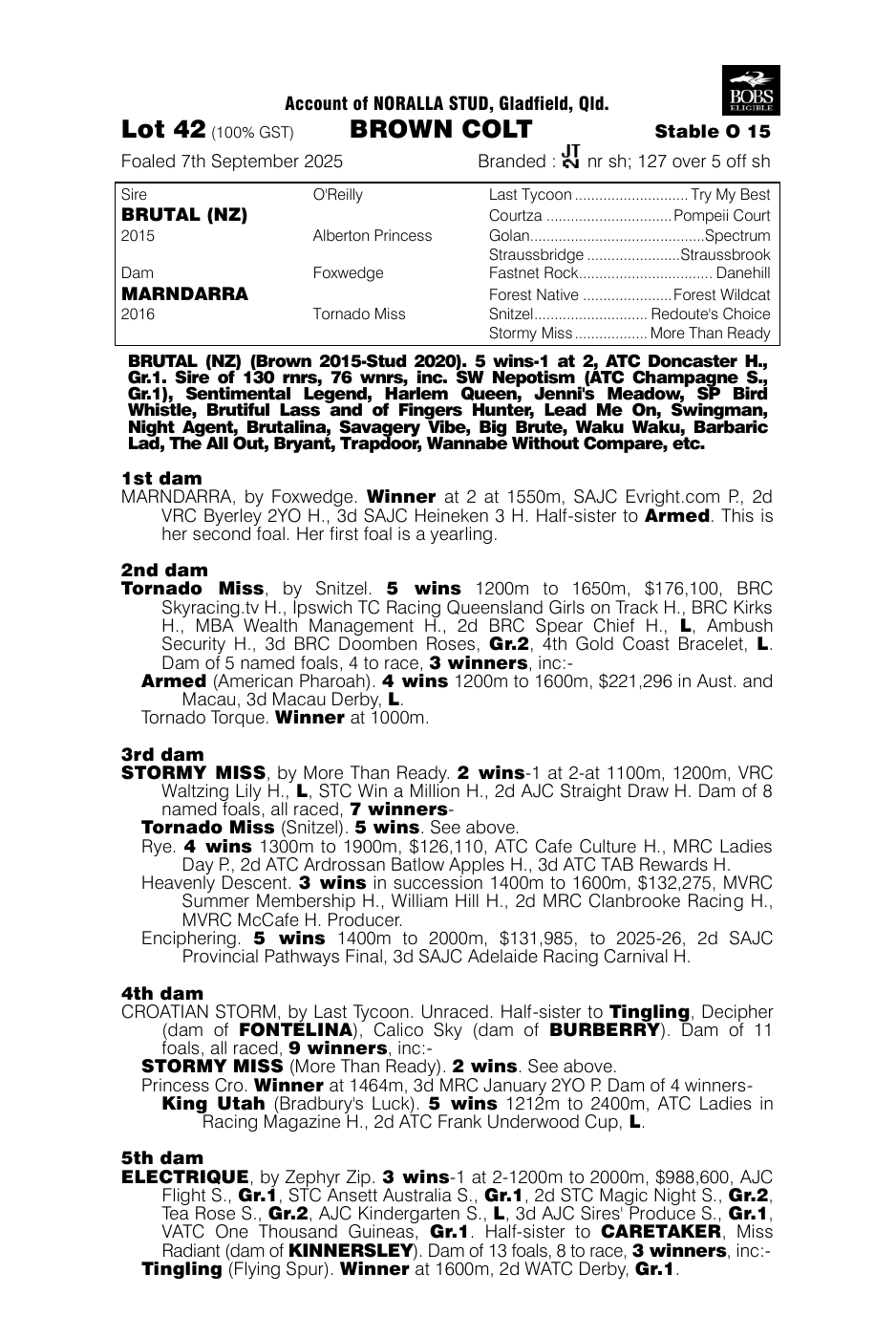 Pedigree - Lot 42