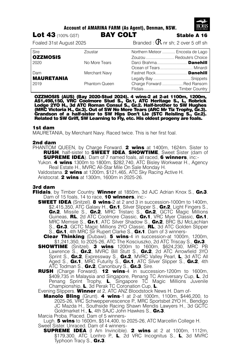 Pedigree - Lot 43