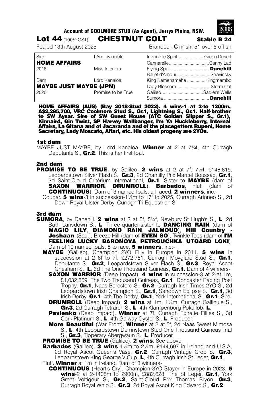 Pedigree - Lot 44
