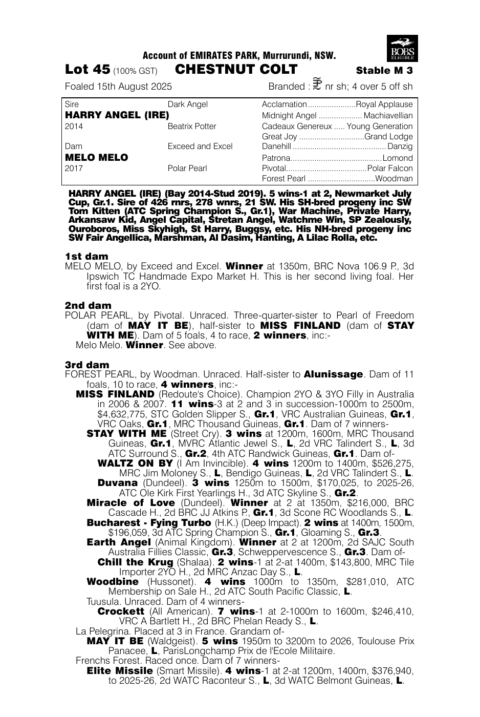 Pedigree - Lot 45