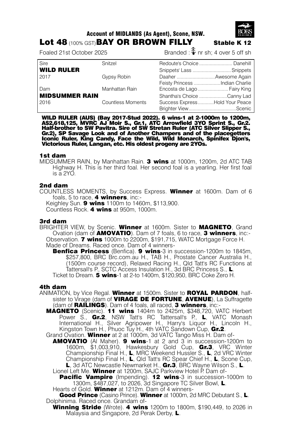 Pedigree - Lot 48