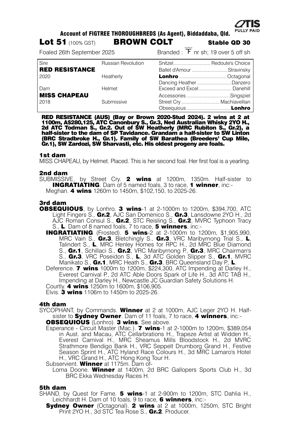 Pedigree - Lot 51
