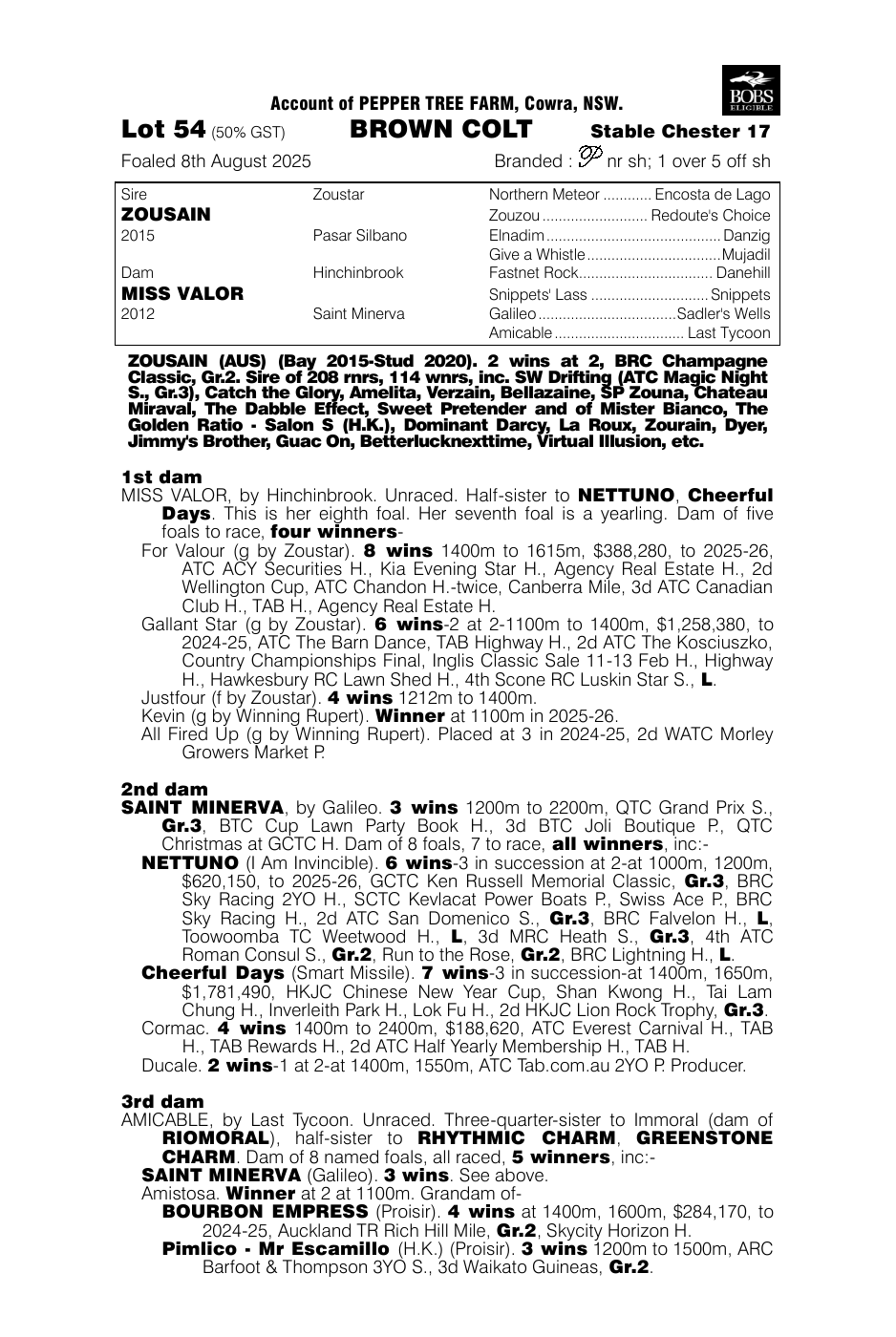 Pedigree - Lot 54
