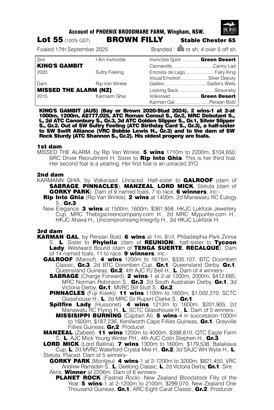 Pedigree - Lot 55