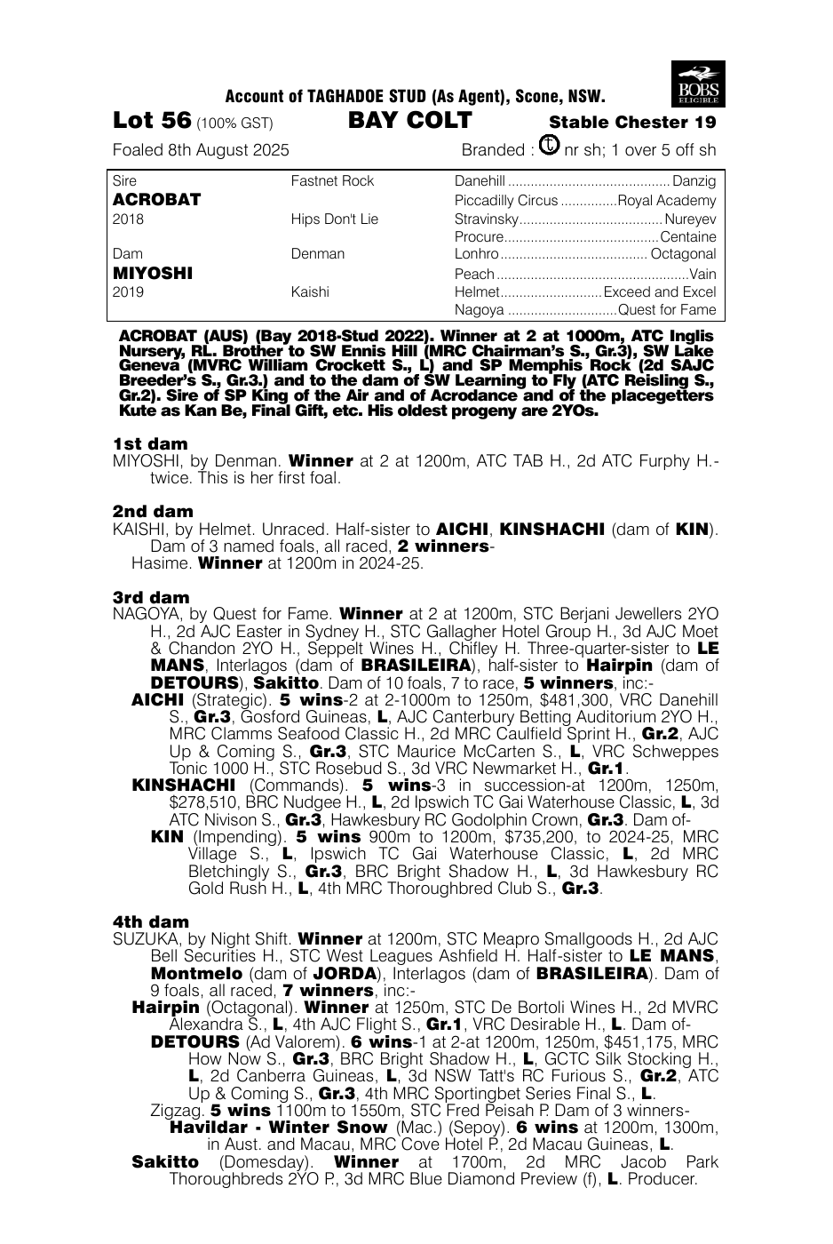 Pedigree - Lot 56