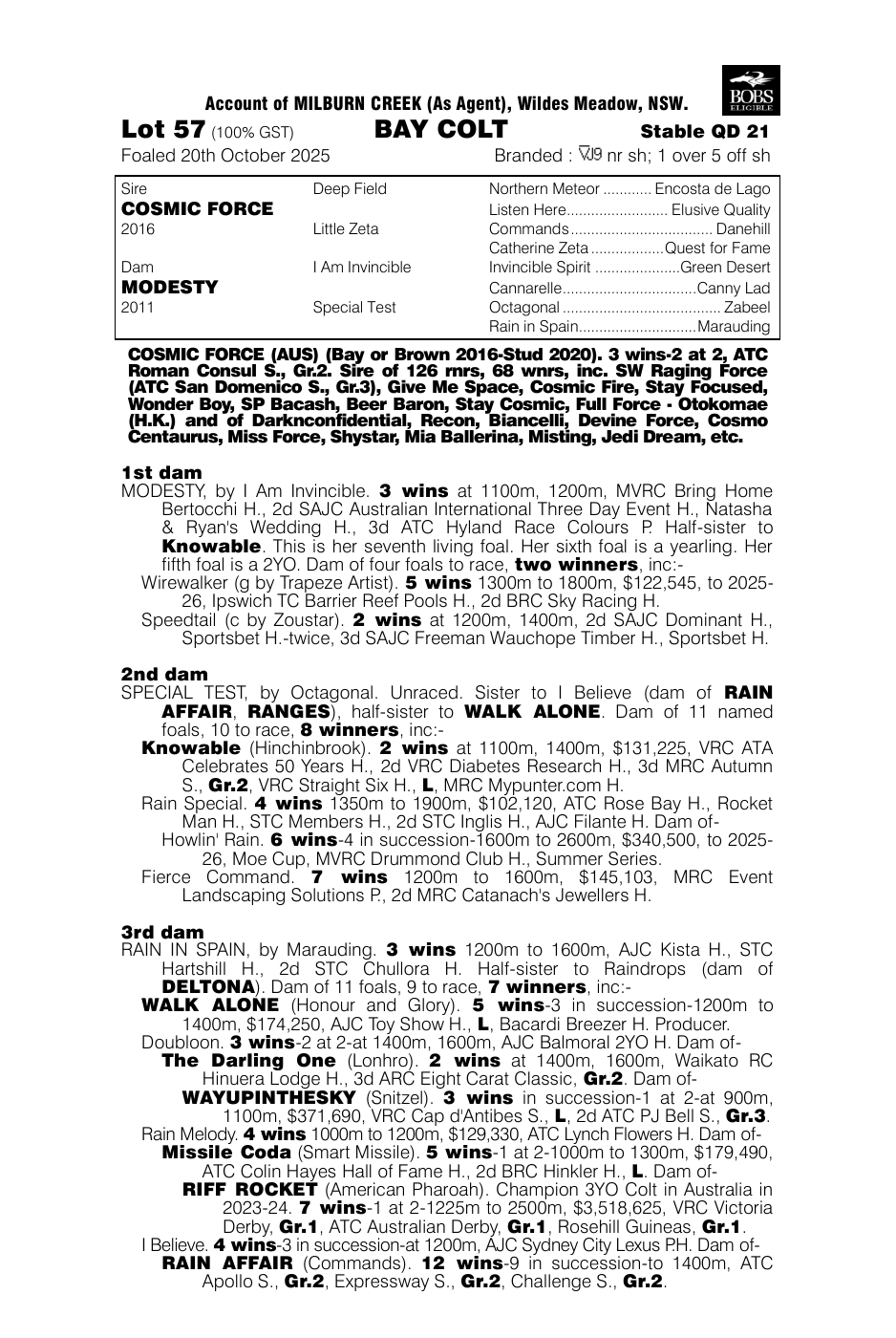 Pedigree - Lot 57