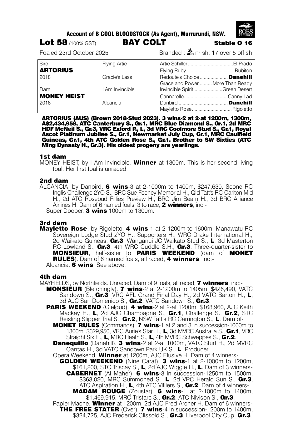 Pedigree - Lot 58
