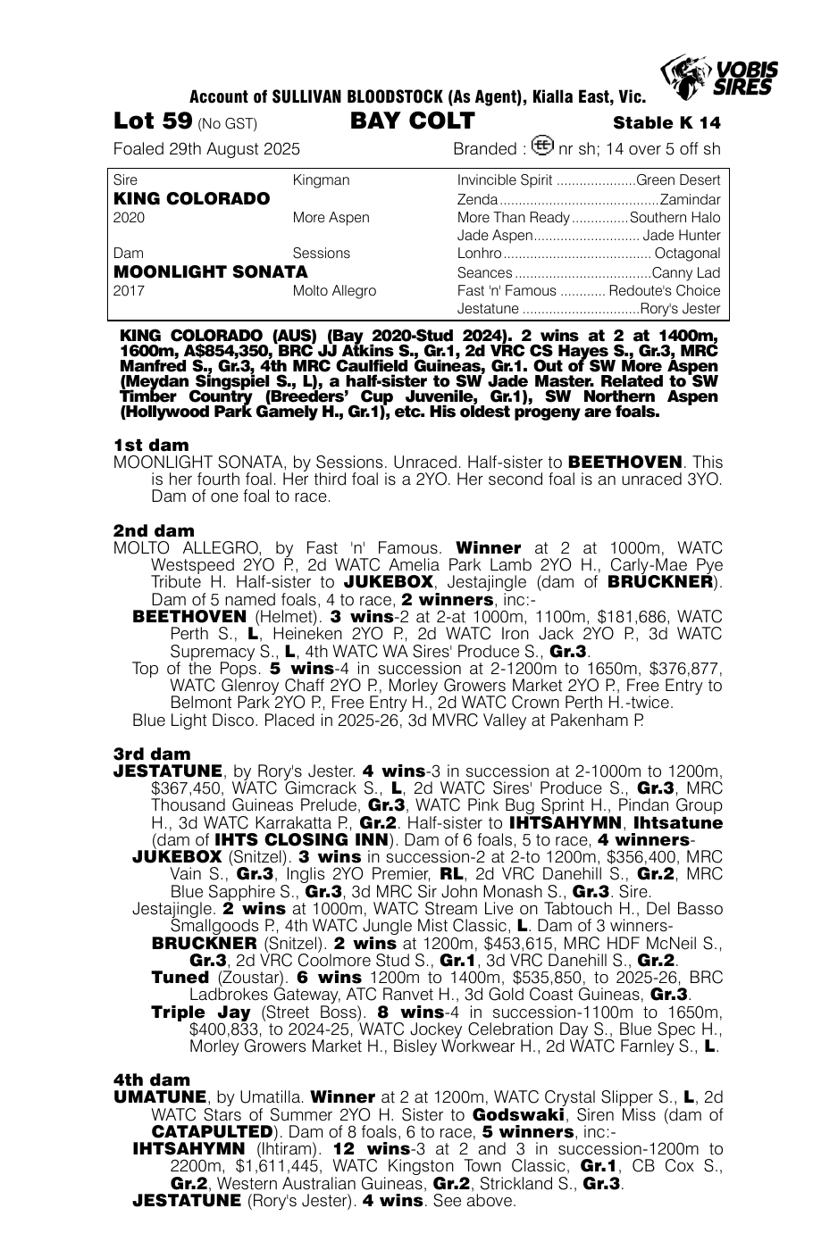 Pedigree - Lot 59