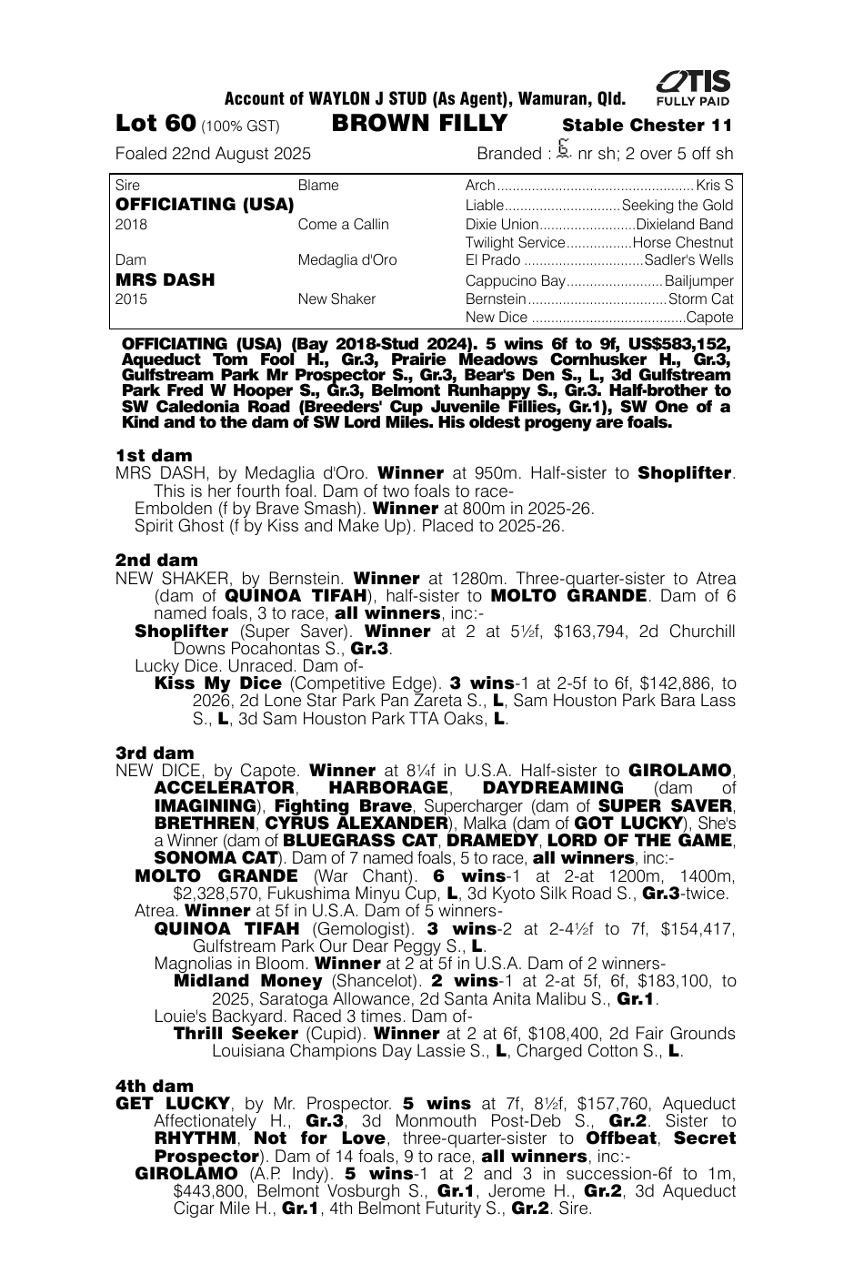 Pedigree - Lot 60
