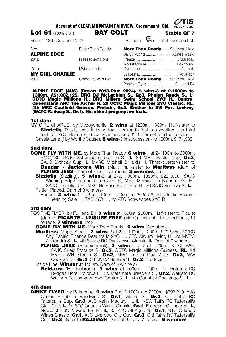 Pedigree - Lot 61