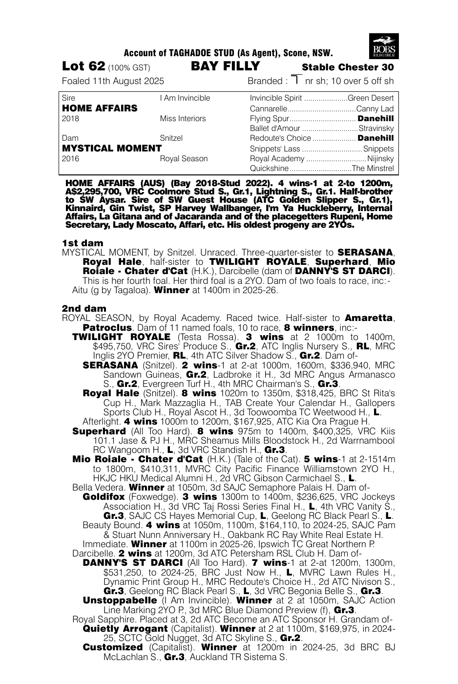 Pedigree - Lot 62