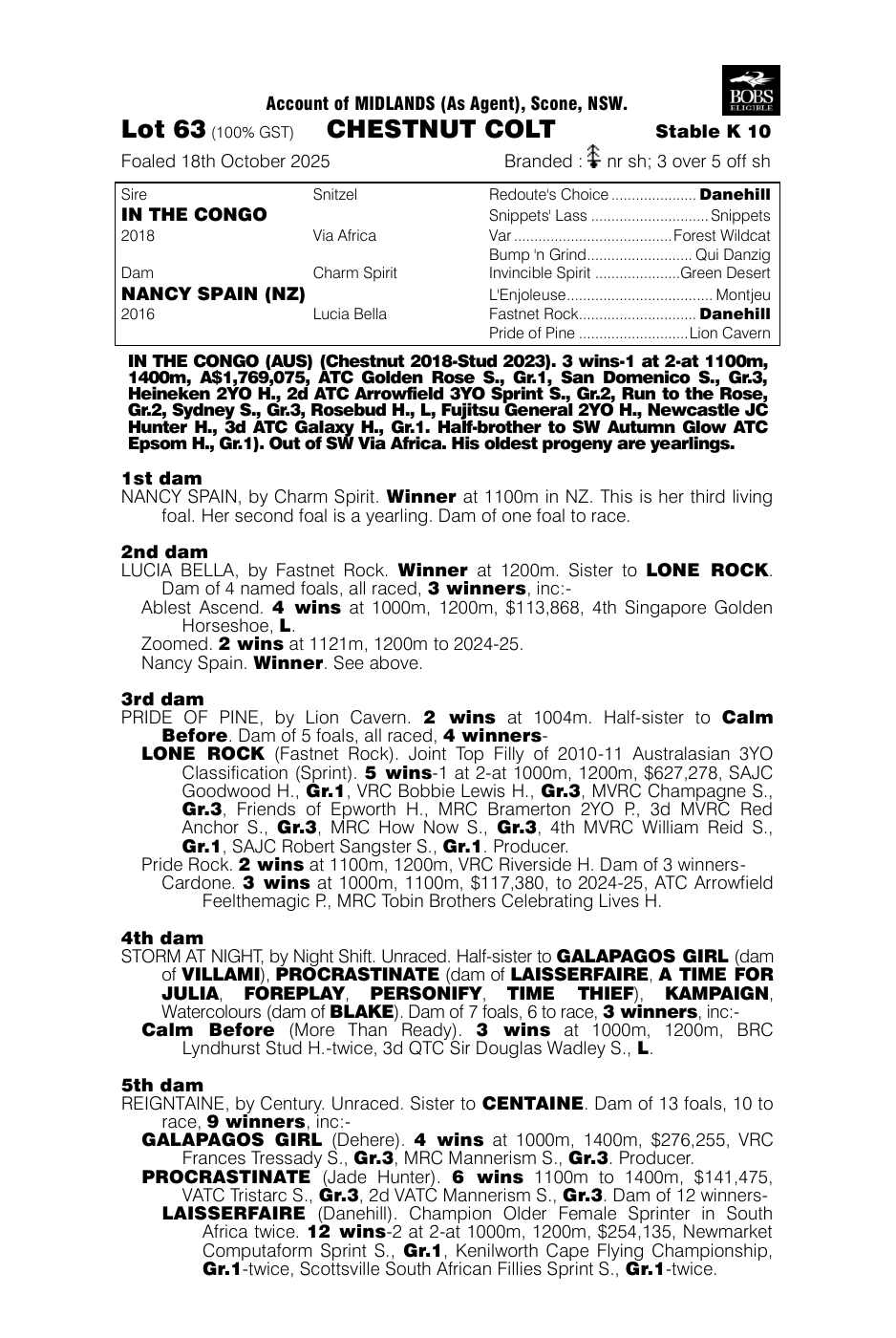 Pedigree - Lot 63