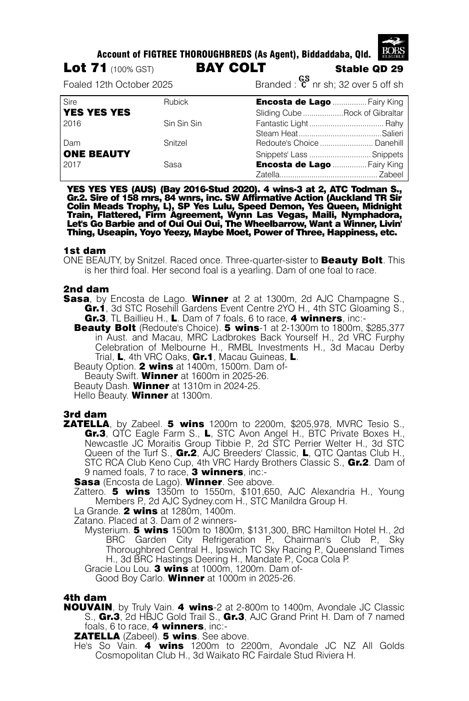 Pedigree - Lot 71