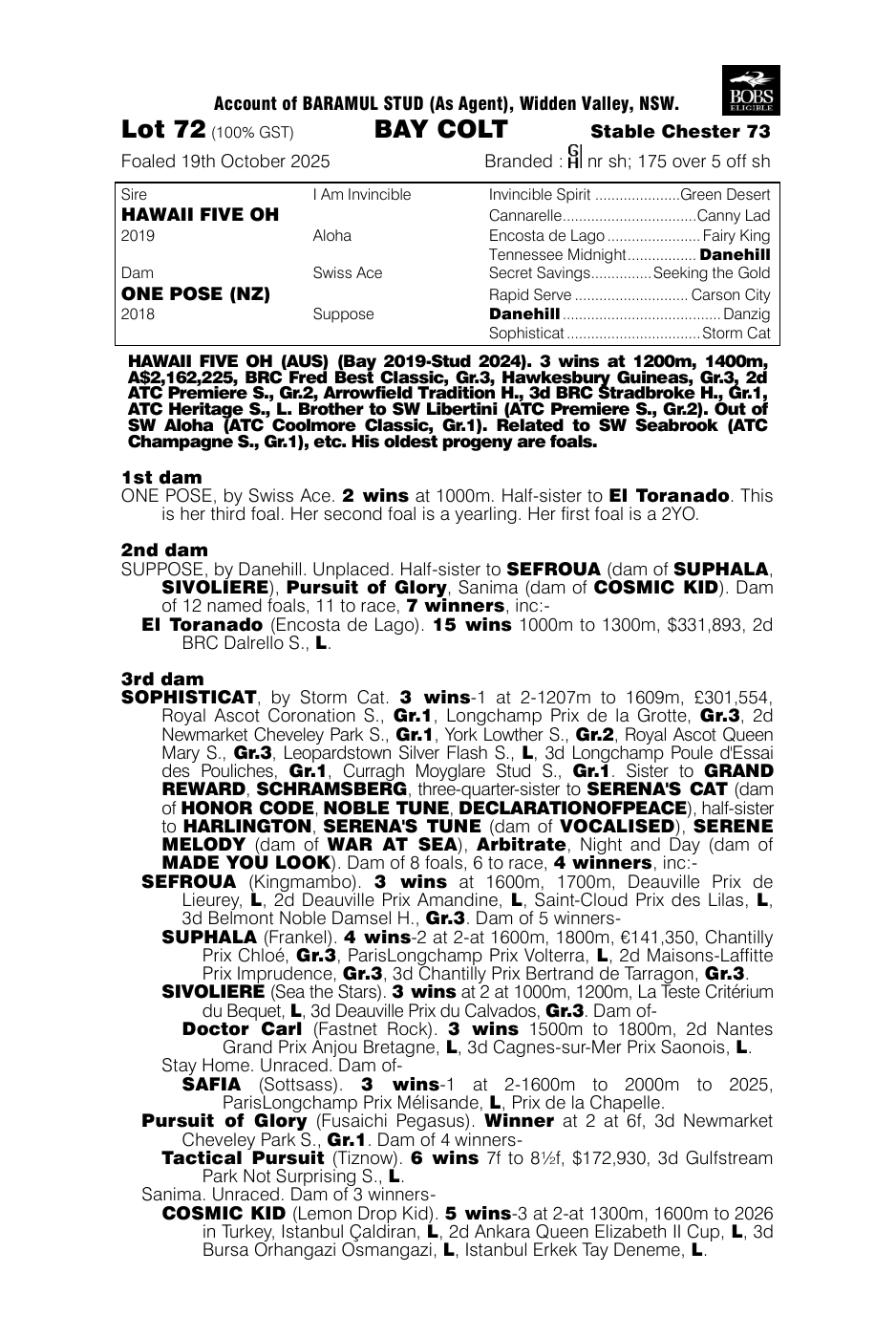 Pedigree - Lot 72