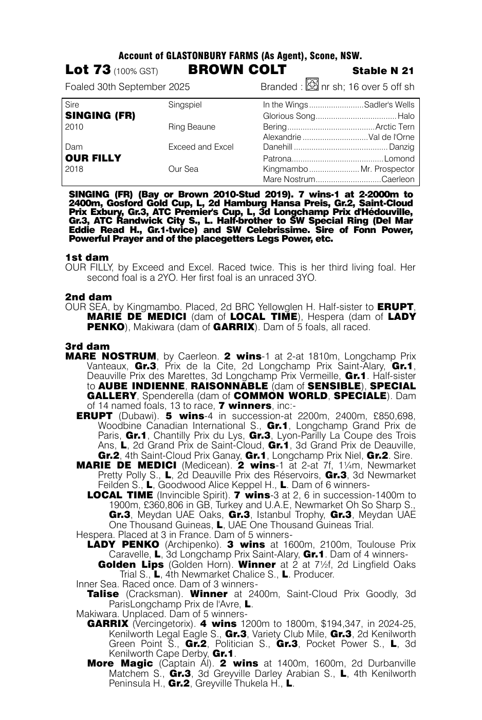 Pedigree - Lot 73