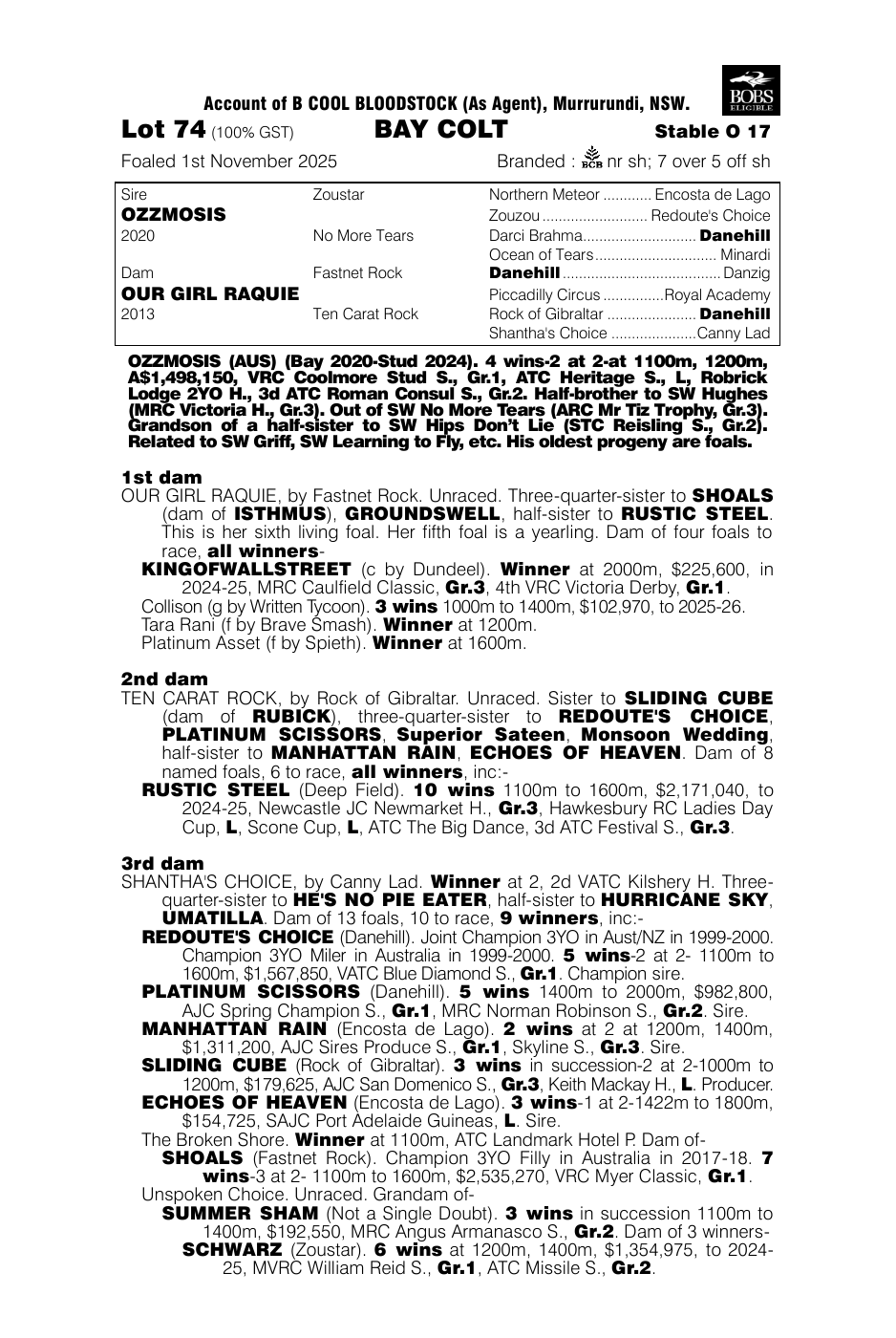 Pedigree - Lot 74