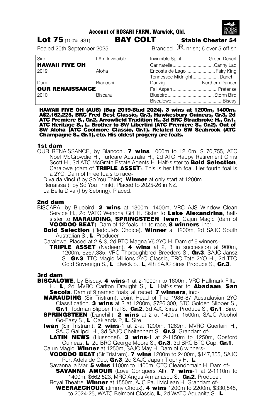 Pedigree - Lot 75