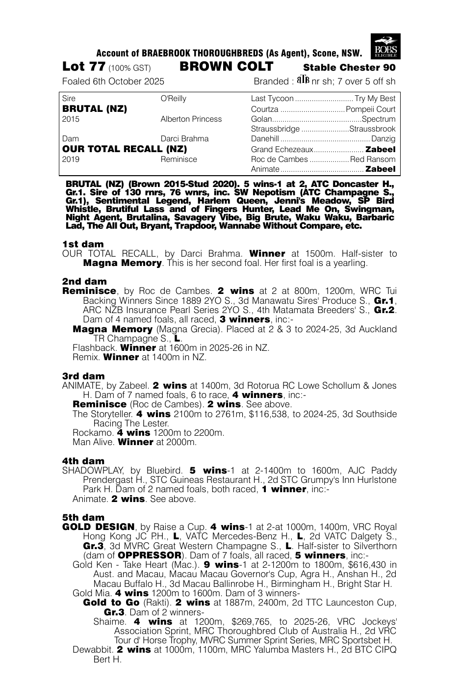 Pedigree - Lot 77