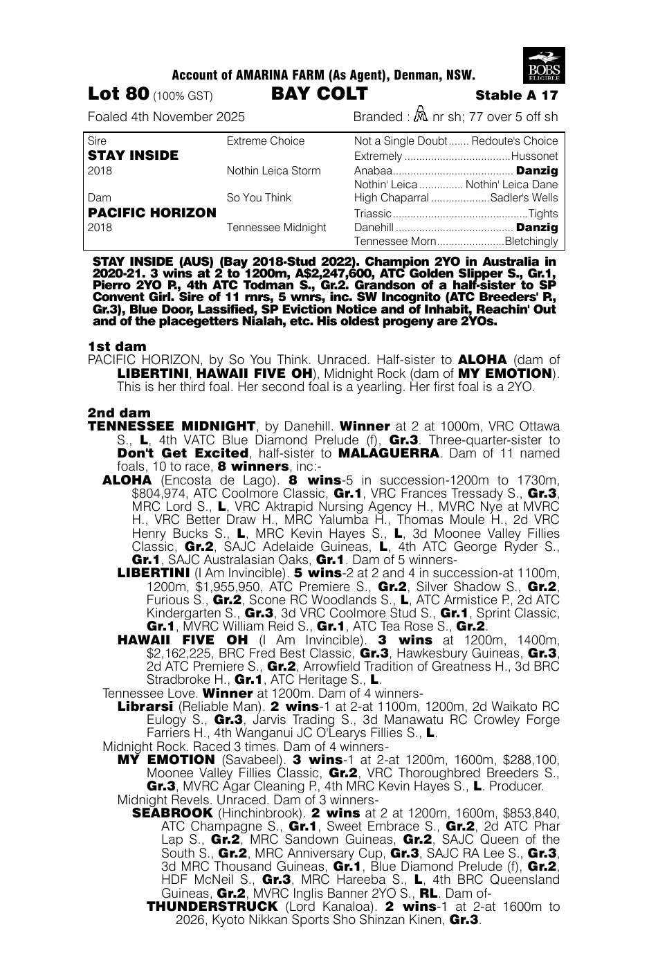 Pedigree - Lot 80