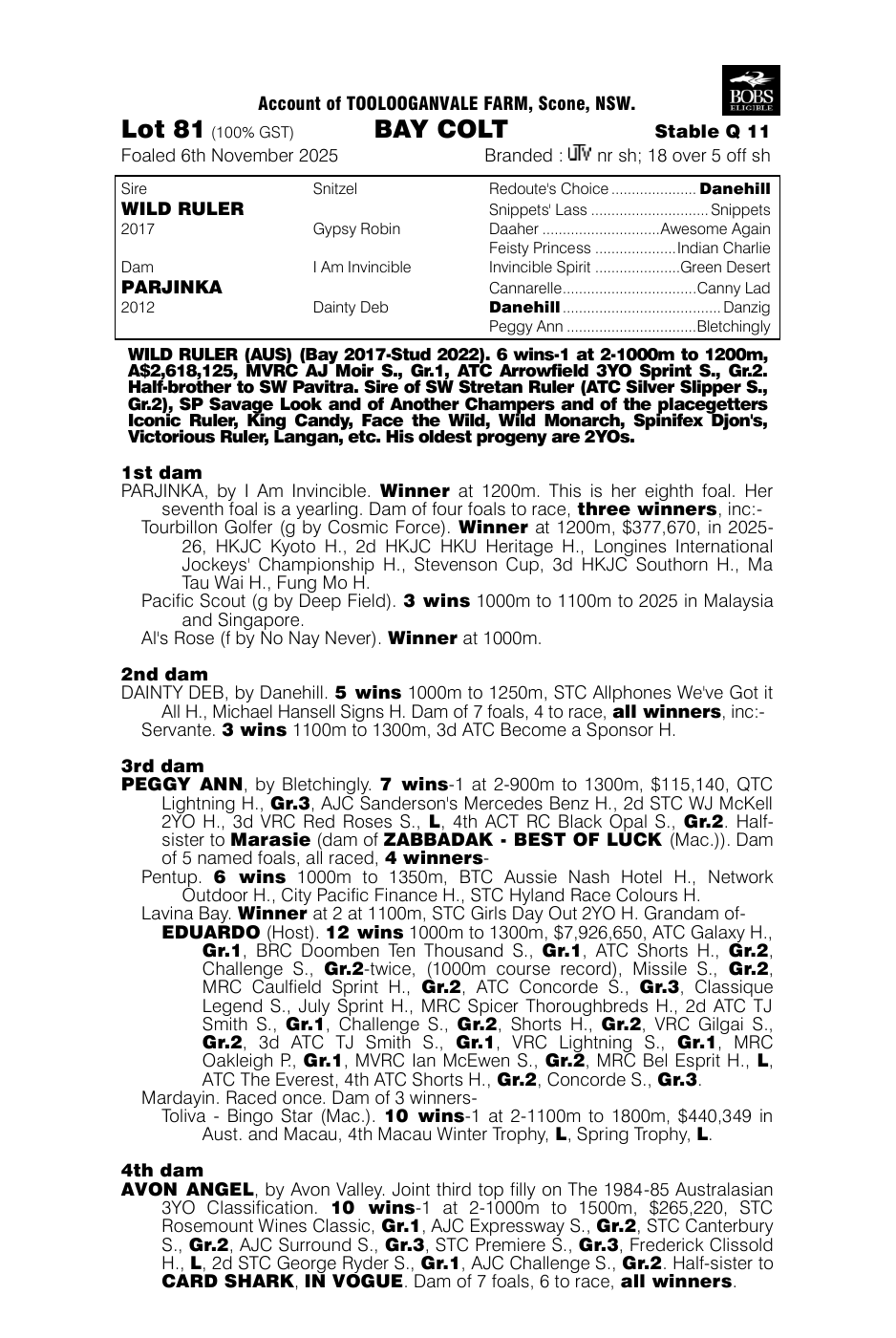 Pedigree - Lot 81