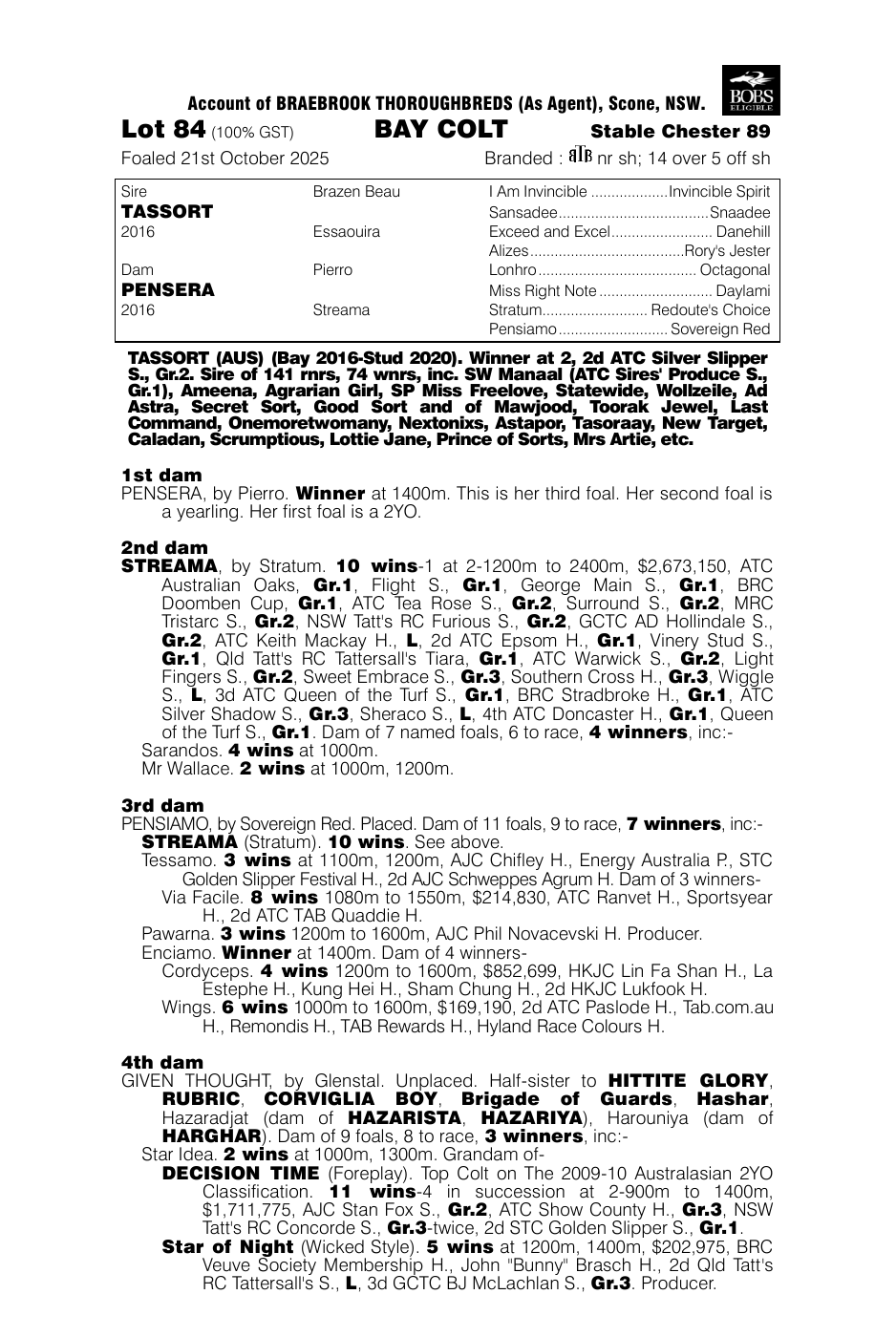 Pedigree - Lot 84