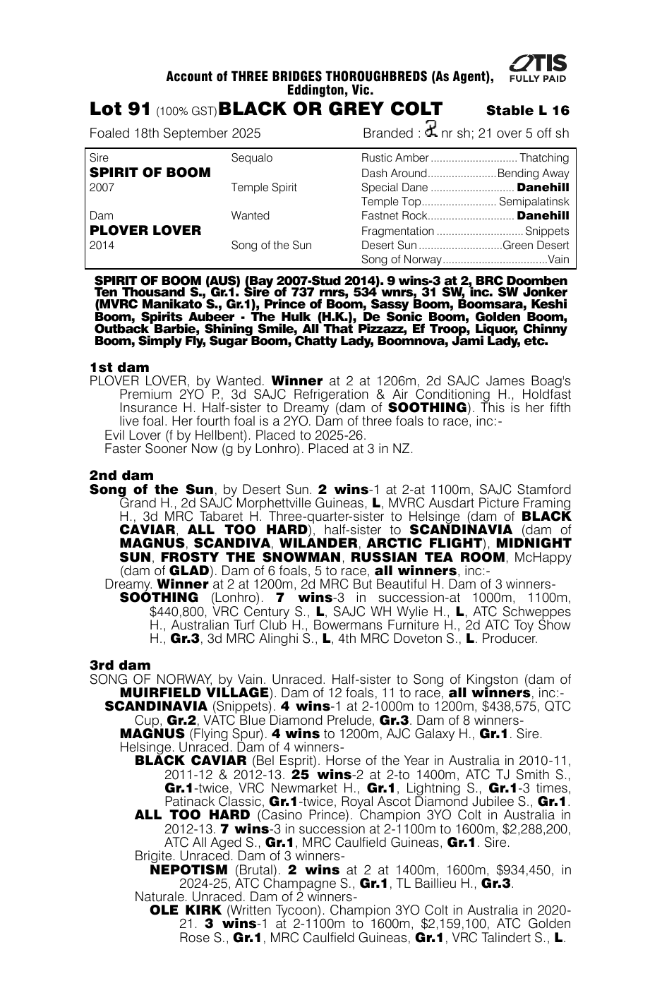 Pedigree - Lot 91