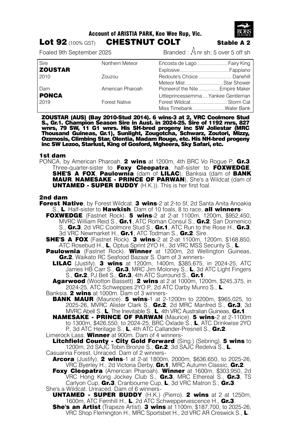 Pedigree - Lot 92