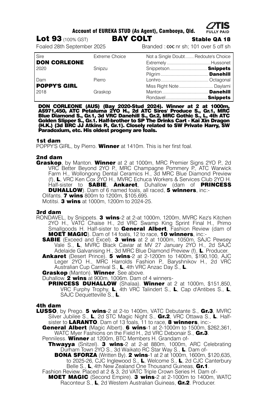 Pedigree - Lot 93