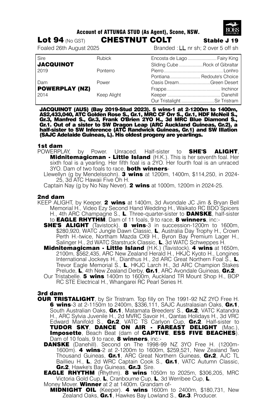 Pedigree - Lot 94