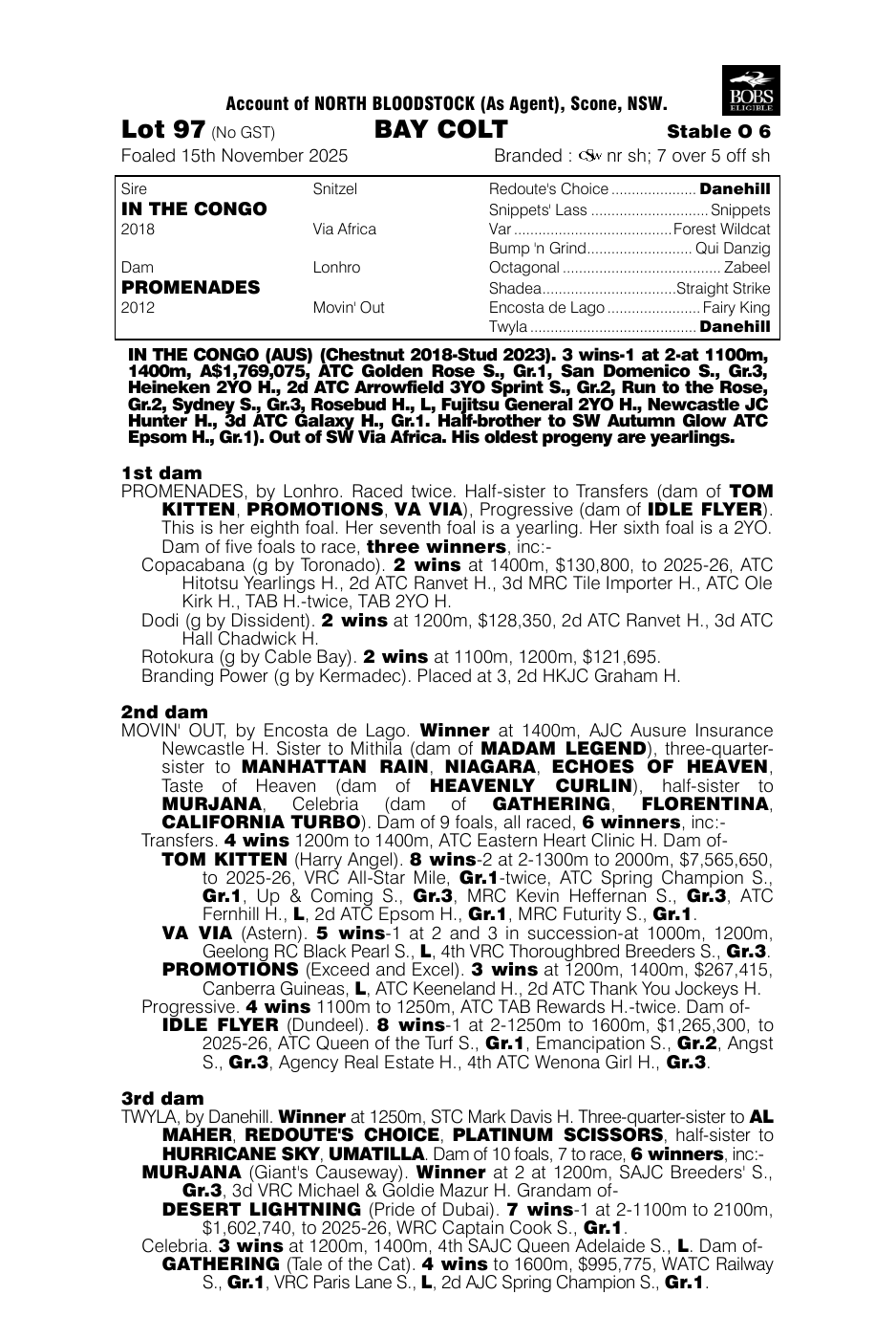 Pedigree - Lot 97