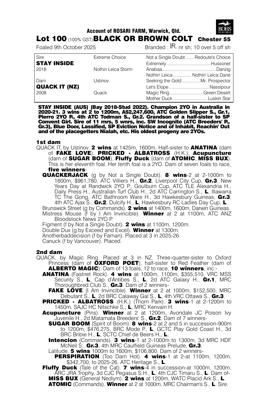 Pedigree - Lot 100