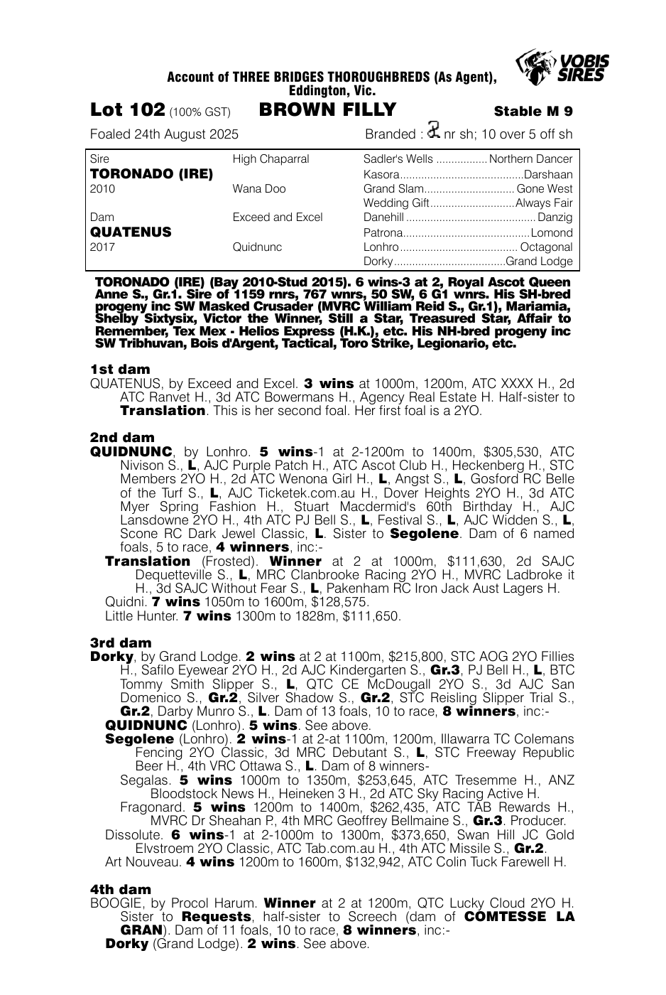 Pedigree - Lot 102