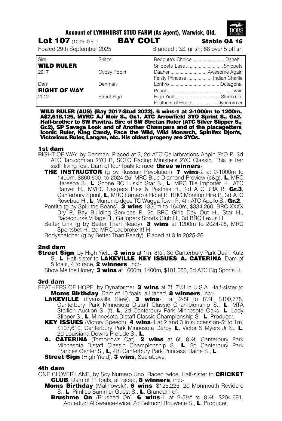 Pedigree - Lot 107
