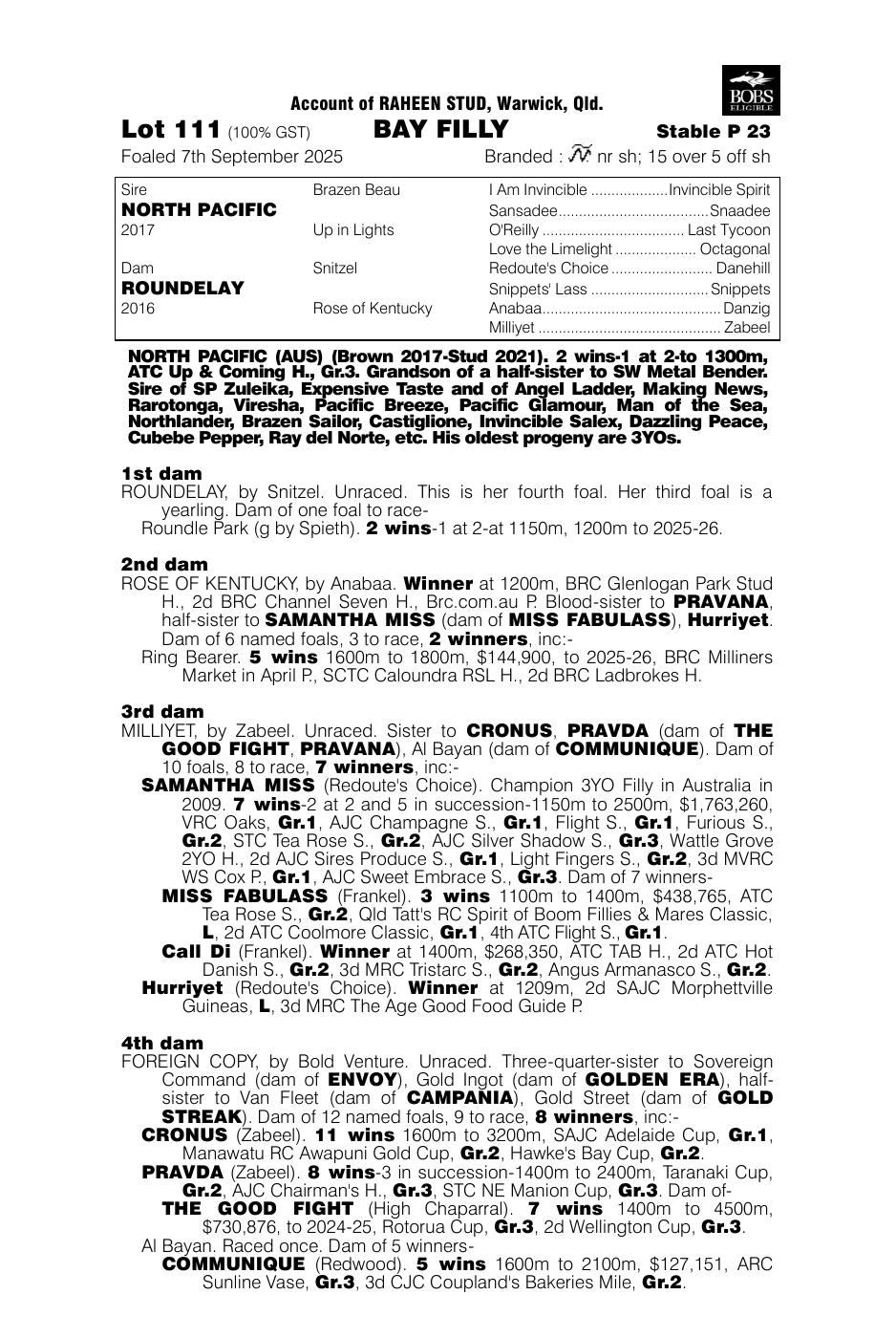 Pedigree - Lot 111