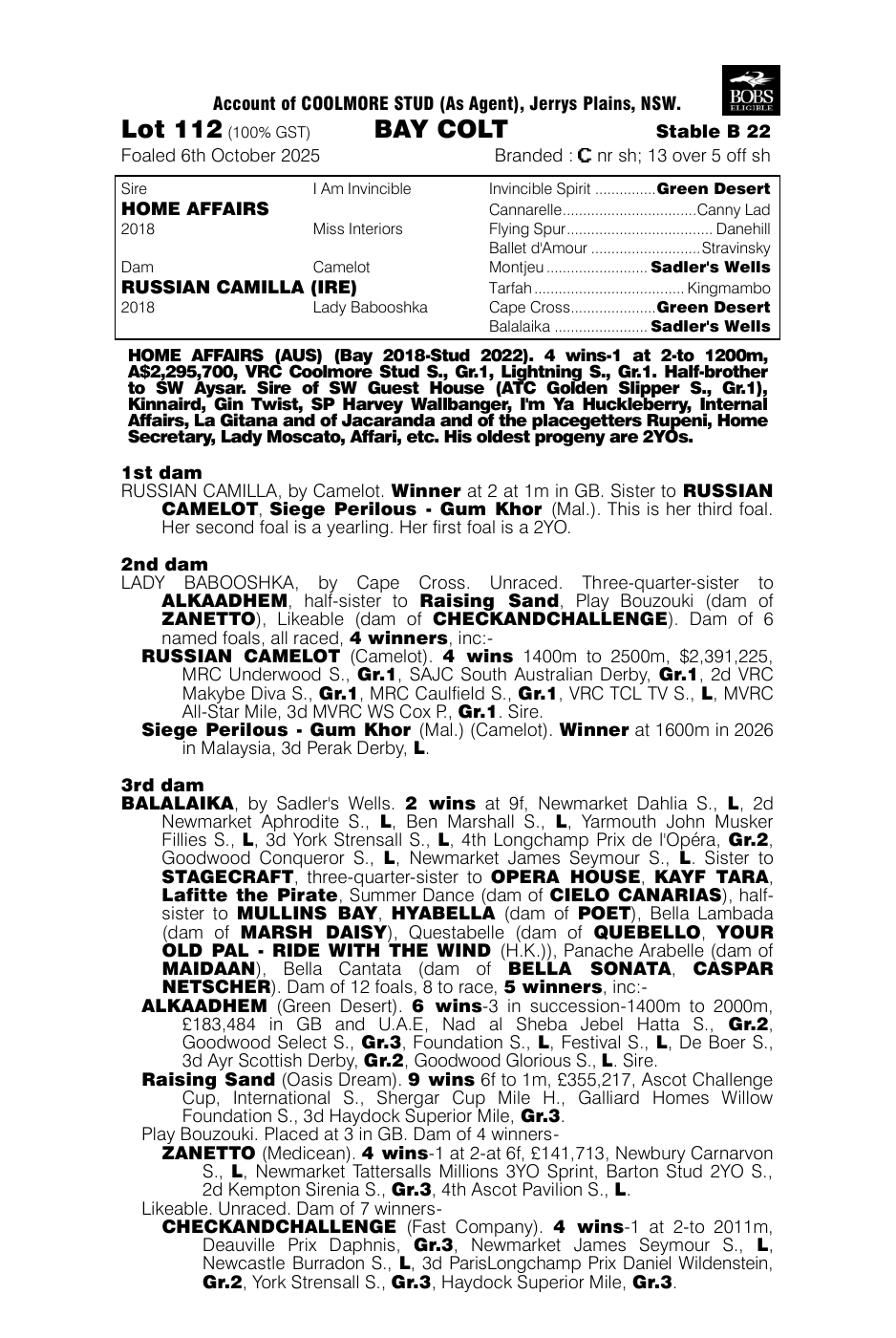 Pedigree - Lot 112