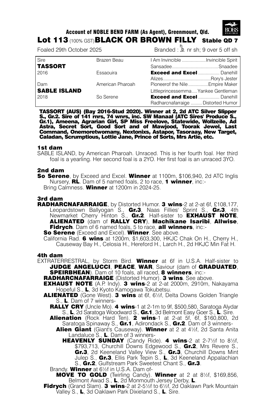 Pedigree - Lot 113